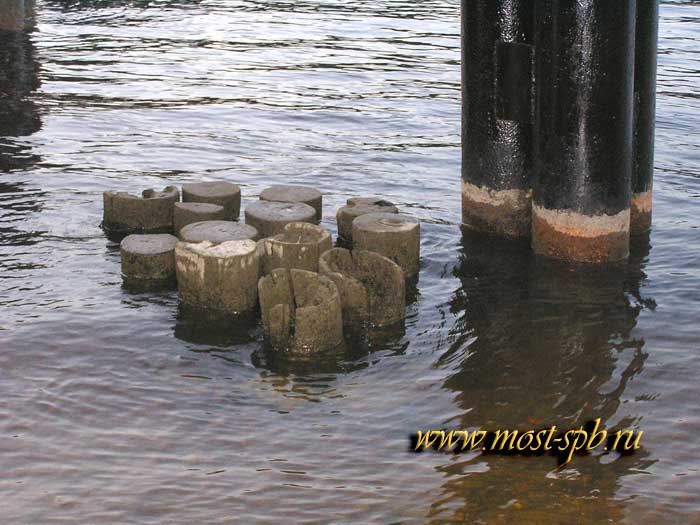 ���� ������